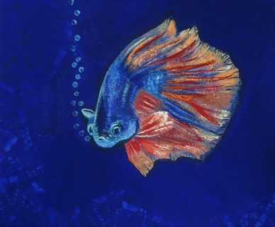 Fisk 1.jpg