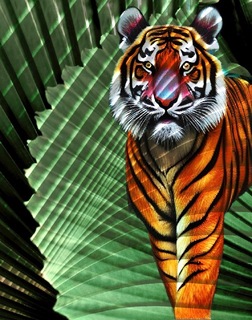 Tiger Year 2022