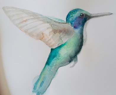 Hummingbird from imagination 