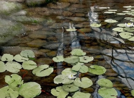 Sweden_PeterEugen_Reflections&WaterliliesInTampa_40x30cm_peter.eugen@creativearts.se.jpg